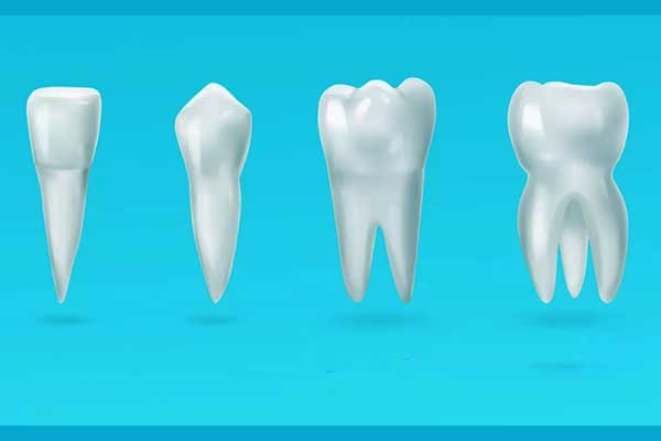 أشكال الأسنان الطبيعية